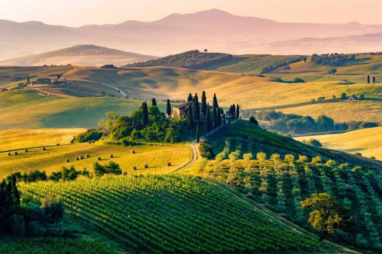 Vin - Chianti DOCG