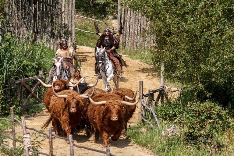 Puy du Fou - Photographie de stock