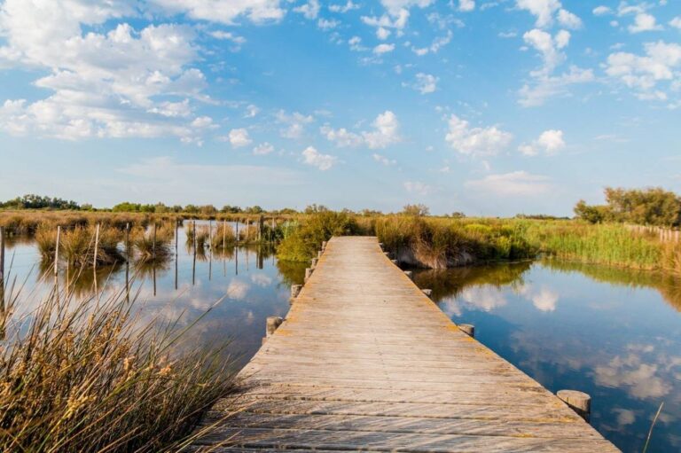 Réserve Naturelle des Marais du Vigueirat - Zone protégée