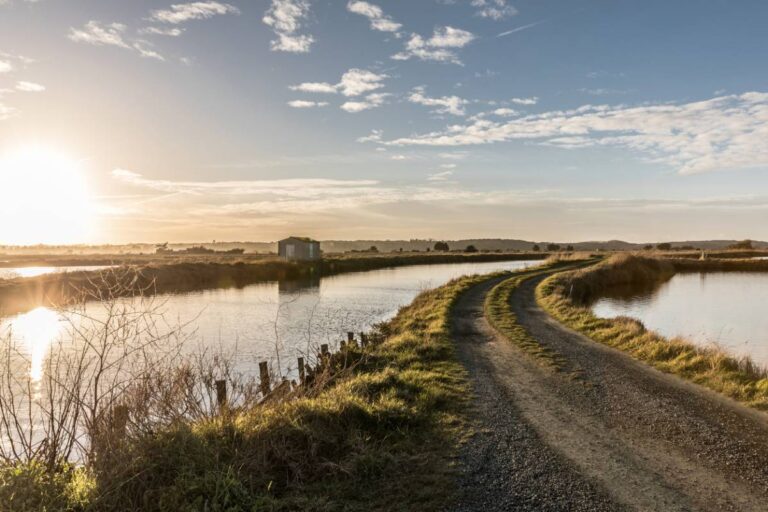 Découvrir la Vendée