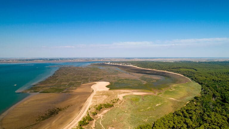 Quelle location de vacances choisir à Ronce-Les-Bains ?