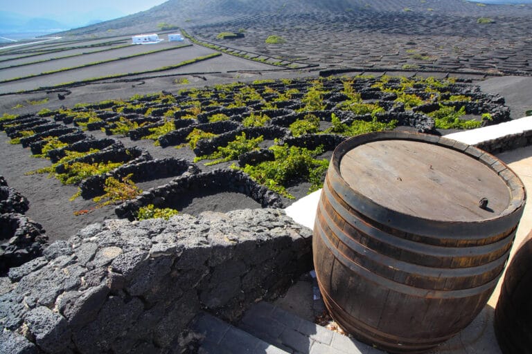 La route des vins de Lanzarote : comment visiter La Geria ?