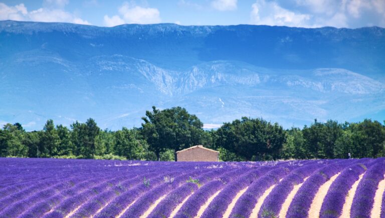 Alpes-de-Haute-Provence : quels sont les lieux d'intérêt ?