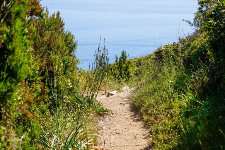 Vacances au camping à Vendres Plage : 4 choses à faire avant de prendre la route
