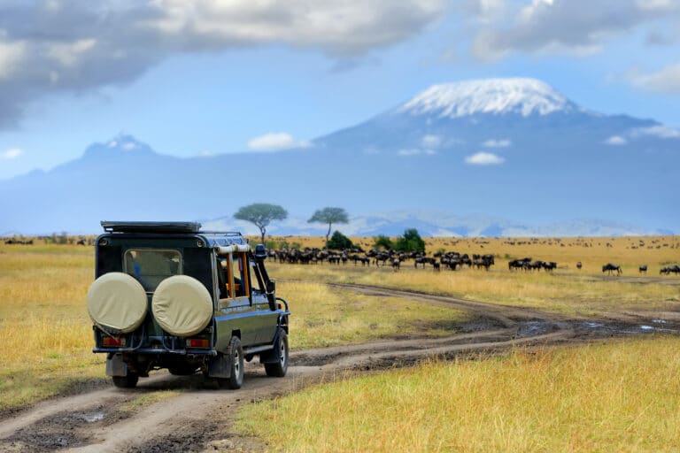 Comment préparer un safari au Kenya ?