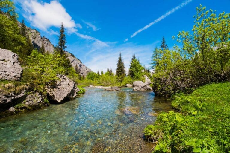Découvrez la Savoie même en été !
