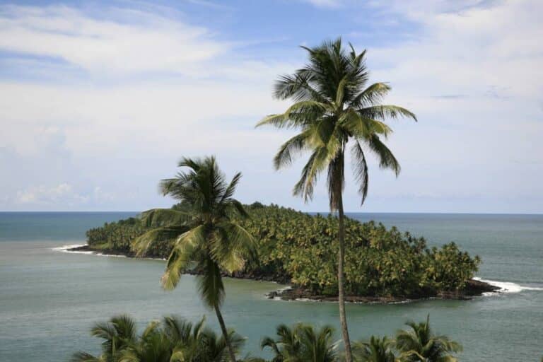 Séjour en Guyane : comment être autonome ?