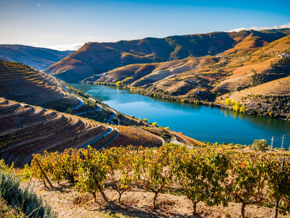 La Vallée du Douro et ses vignobles - Portugal