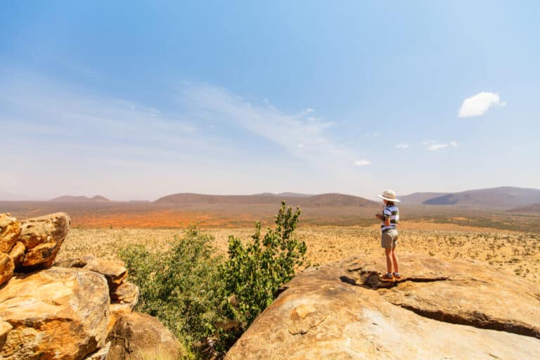 Découvrez la magie des safaris au Kenya : Les parcs nationaux à explorer