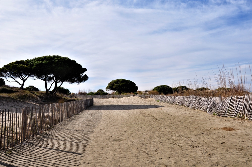 plage d'Espiguette, Grau-du-Roi