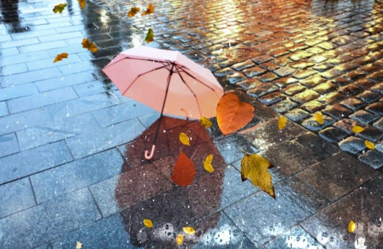 Vous cherchez la destination parfaite pour l’Automne 2023? la voici !