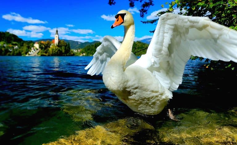 16 conseils pour des vacances « Zéro galère » en Slovénie