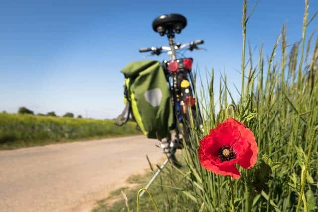 vélo avec sacoches vertes à côté d'un champ avec coquelicot en premier plan