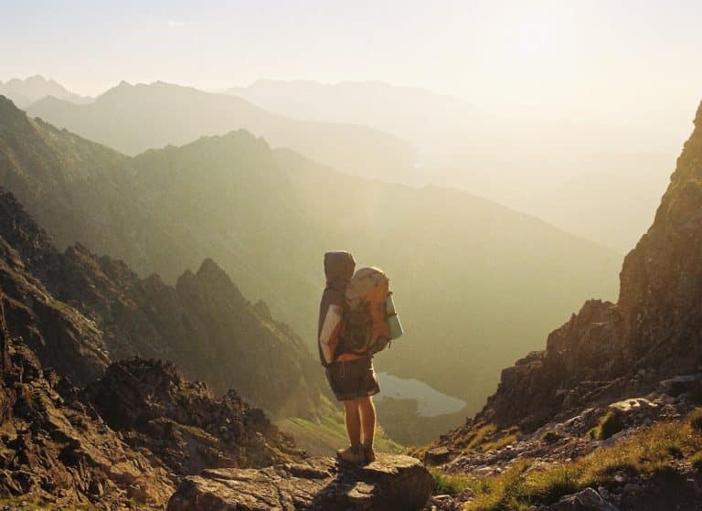 Volontariat au service de la conservation : Comment s’impliquer pendant vos voyages