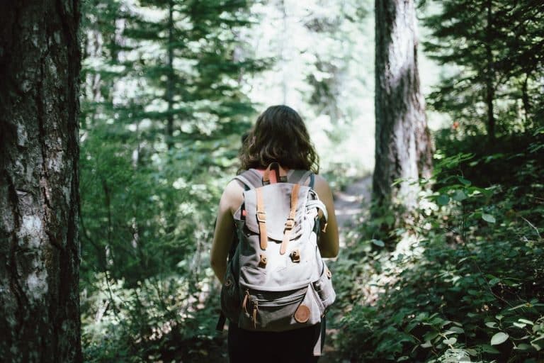 Road trip aux États-Unis : Itinéraires et conseils pour une aventure inoubliable