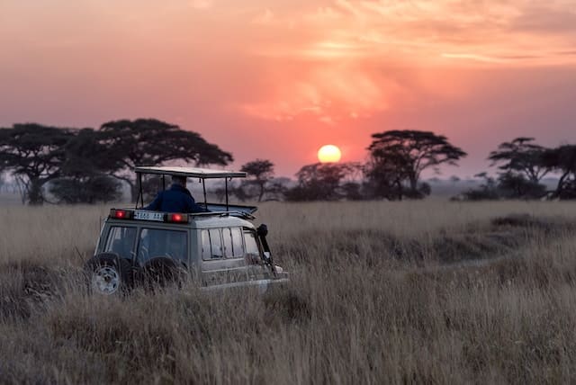 safari en voiture au coucher de soleil dans la savane africaine