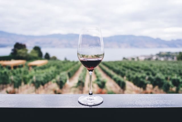 verre de vin rouge sur une balustrade avec vue sur des vignobles et un lac en arrière-plan