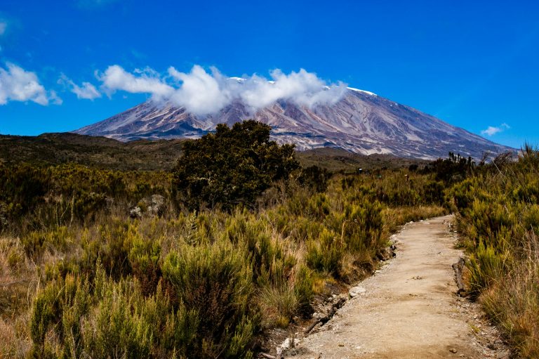 Un voyage réussi au Kilimandjaro