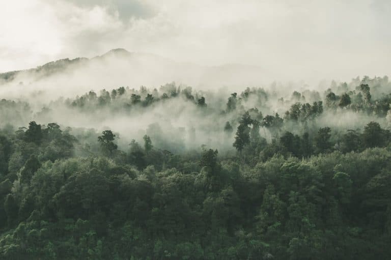Découverte de parcs à thèmes insolites et exceptionnels en Europe