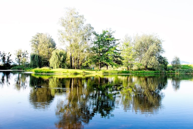 Voyage en solo: top destinations pour introvertis