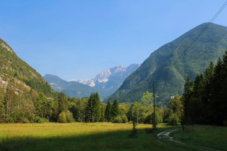 Explorer les meilleures fromageries traditionnelles en Suisse