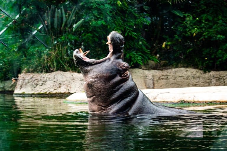Voyages privés Galápagos : croisières exclusives et luxueuses