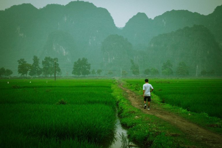 Trekking au Vietnam