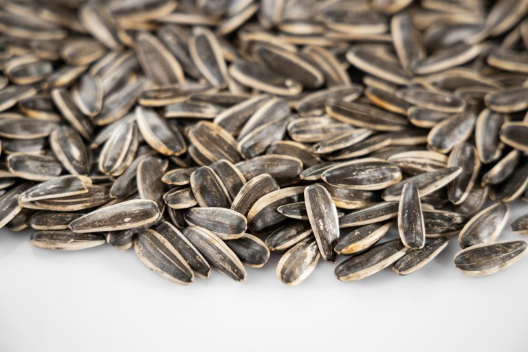 Est-il bon de manger des graines de tournesol ?