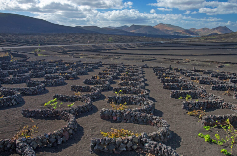 Vignes de La Geria à Lanzarote, image libre de droits via Wikimedia Commons