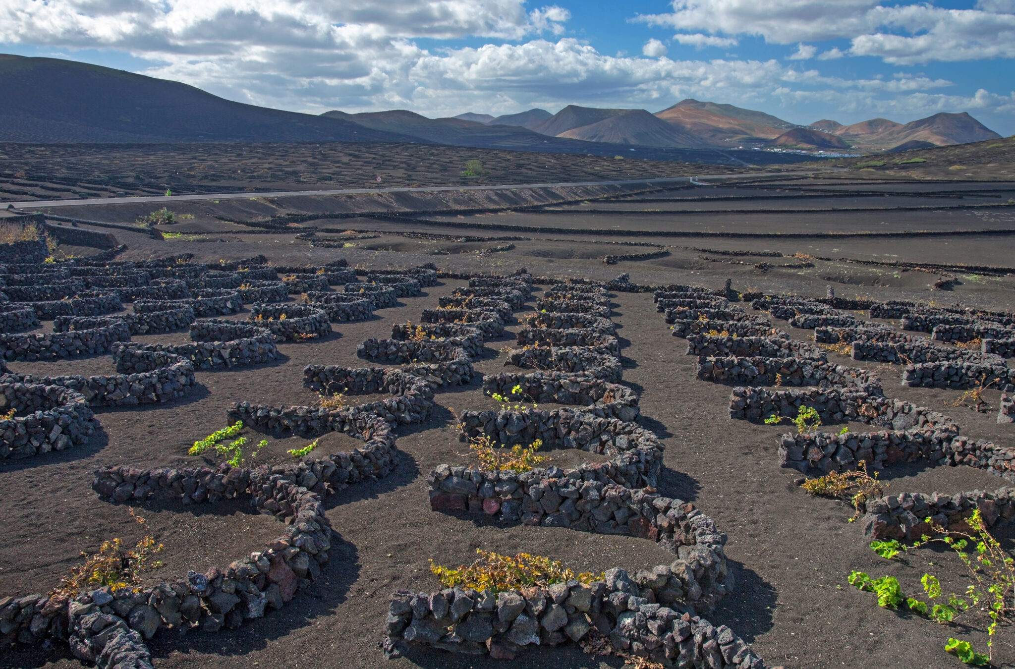 Vignes de La Geria à Lanzarote, image libre de droits via Wikimedia Commons
