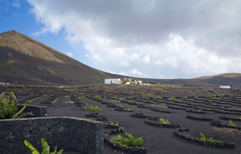 Vignobles de La Geria à Lanzarote, image libre de droits via Wikimedia Commons