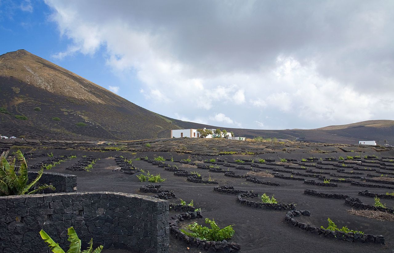 Vignobles de La Geria à Lanzarote, image libre de droits via Wikimedia Commons