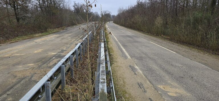 Autoroute allemande bordée de forêt.