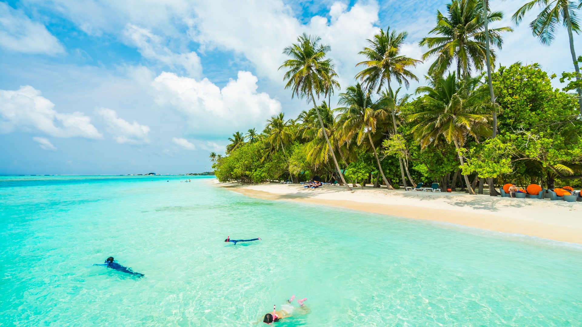 escale tropicale avec plage de sable blanc, eau turquoise et palmiers, idéale pour croisière aux Caraïbes
