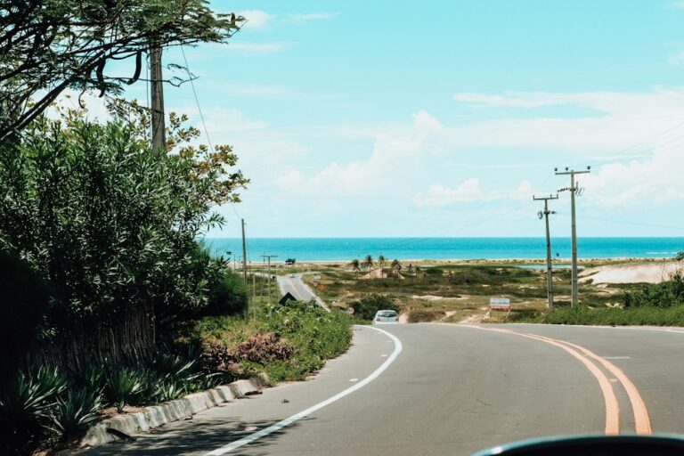 Visiter la Martinique en voiture